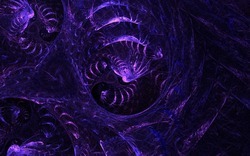 2014 04 26 Evening Plastic 31-black.jpg